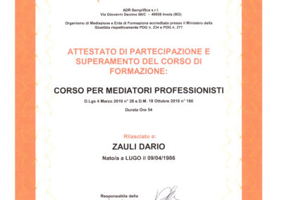 MEDIATORE JPG INTERO